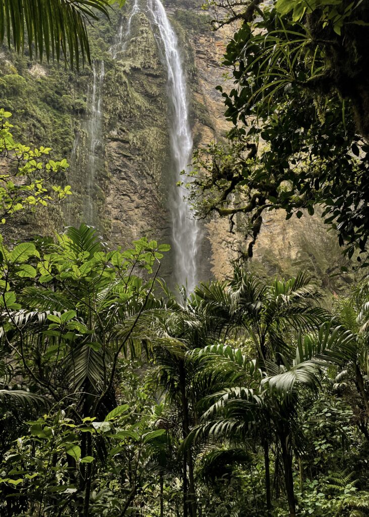 Gocta Waterfall through the trees of the cloud forest