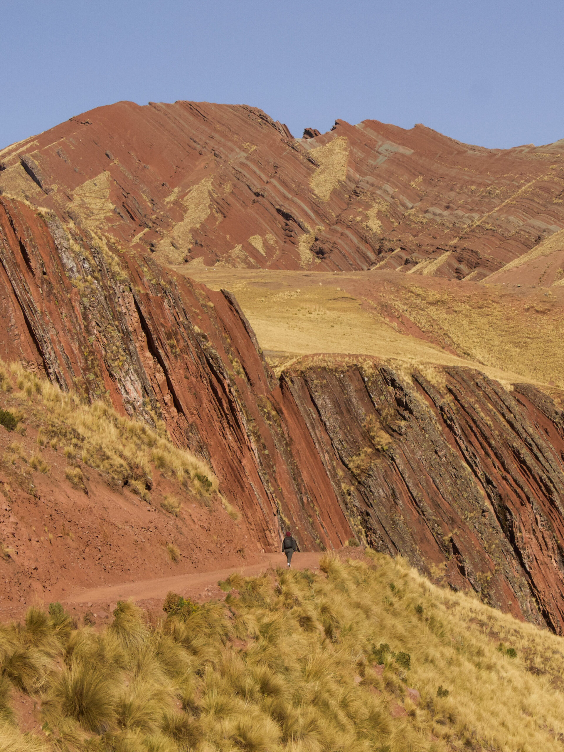 Megan on the switchbacks to Pallay Punchu. In front of her you can begin to see the striped colours of the mountain.