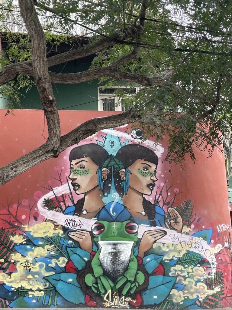 Murals in the Barranco neighbourhood 