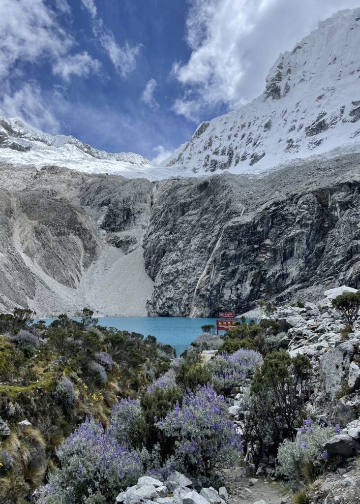 The first glimpse of Laguna 69. The blue water peeking through the purple flowers. 